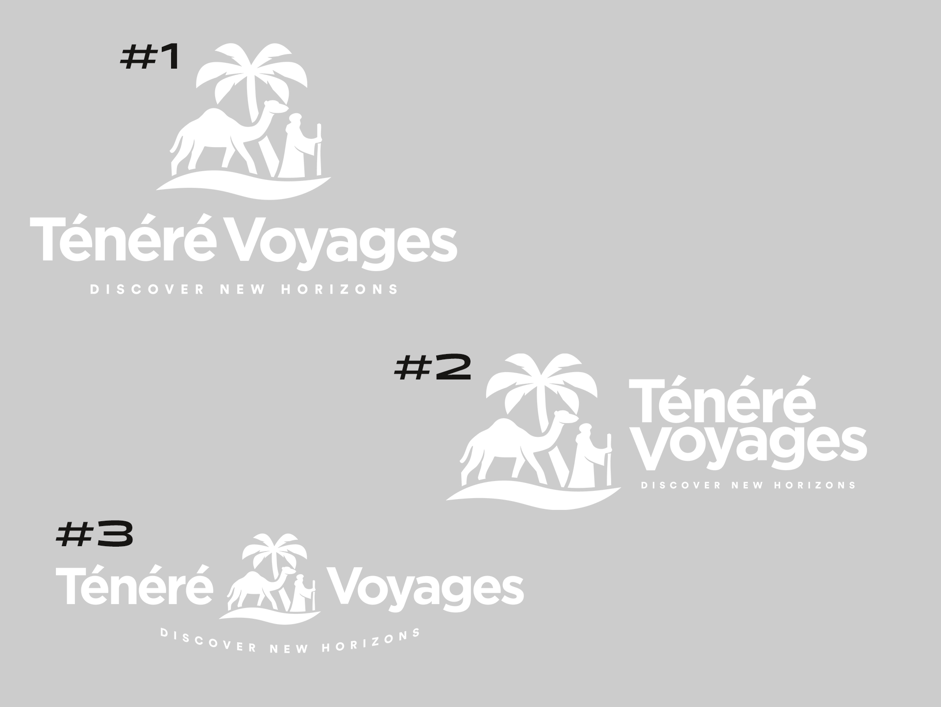 Ténéré Voyages